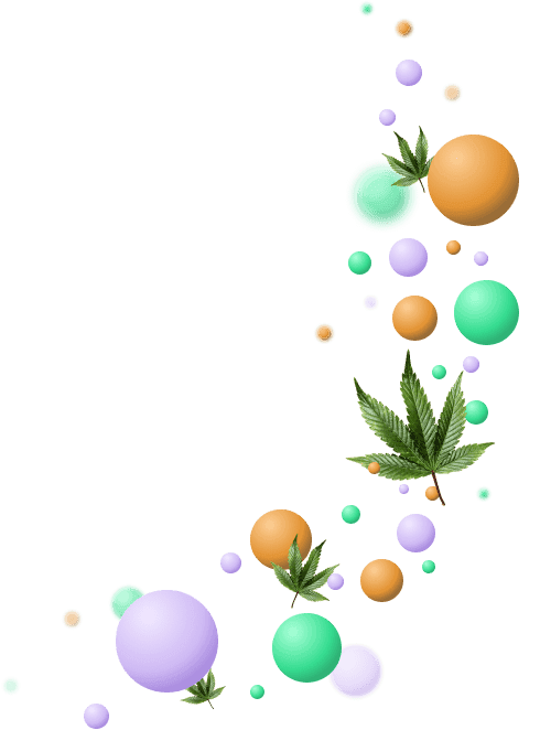 home-highlight-stats